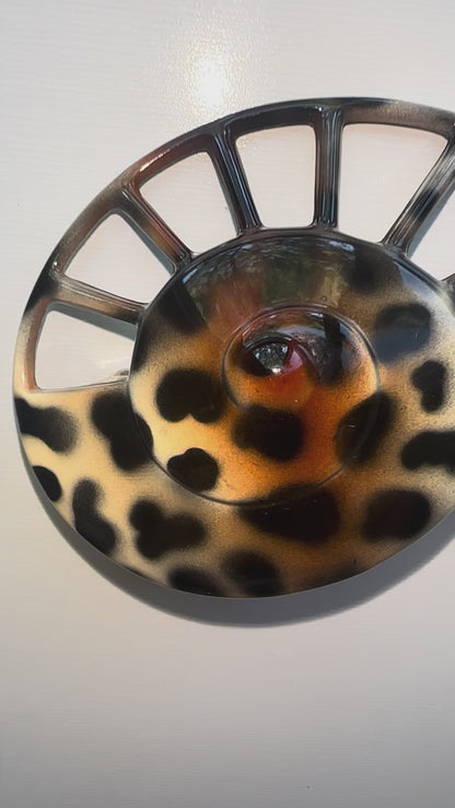 Cowhide Shell Barrette